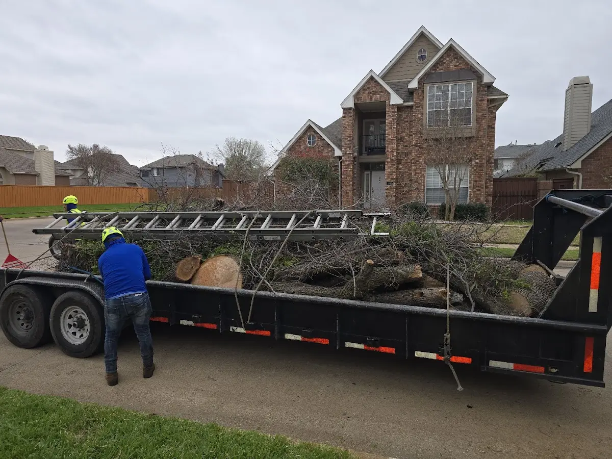 Expert Tree Fertilization with proper safety equipment in Glen Haven